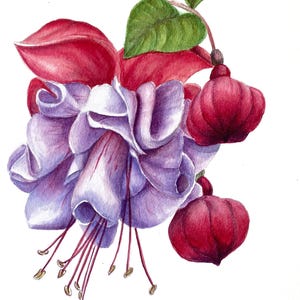 Original  watercolor floral painting, illustration, interior art  hand-painted art interior