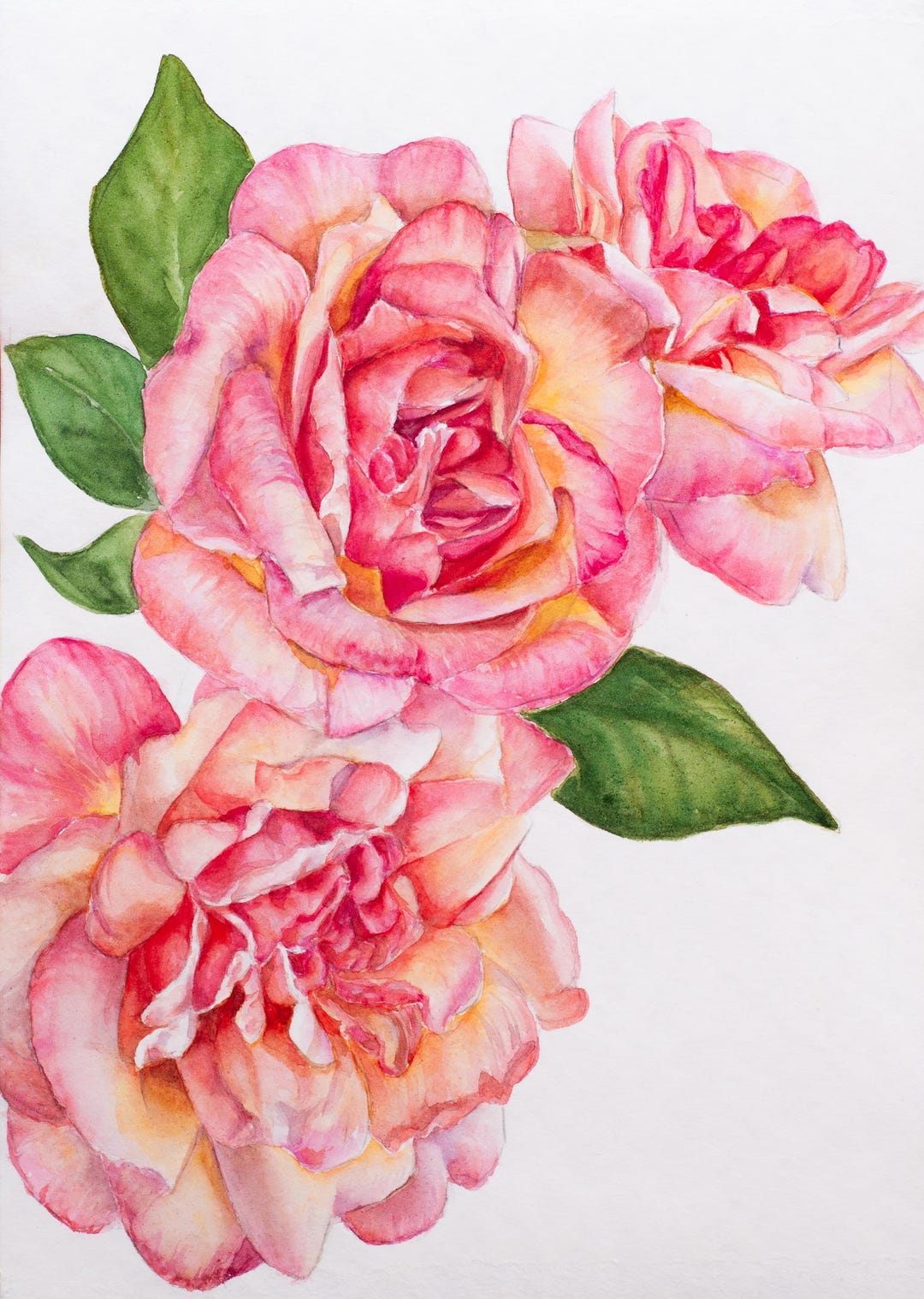 Light Pink Rose Watercolor Painting: Realistic Floral Wall Art - Etsy