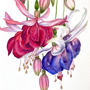 Original  watercolor floral painting, illustration, interior art  hand-painted art interior
