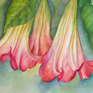 Original  watercolor floral painting, illustration, interior art  hand-painted art interior