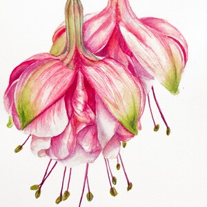 Original  watercolor floral painting, illustration, interior art  hand-painted art interior