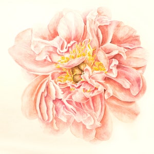 Original painting coral Peony watercolor 42x31 cm, peonies painting, peony artwork, Realistic watercolor flower painting, Floral wall art