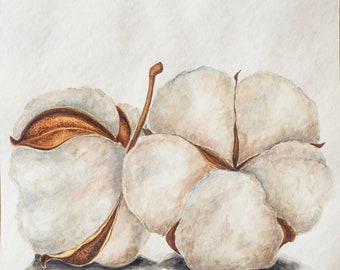 Pintura de acuarela de flores de algodón: arte floral original para pared