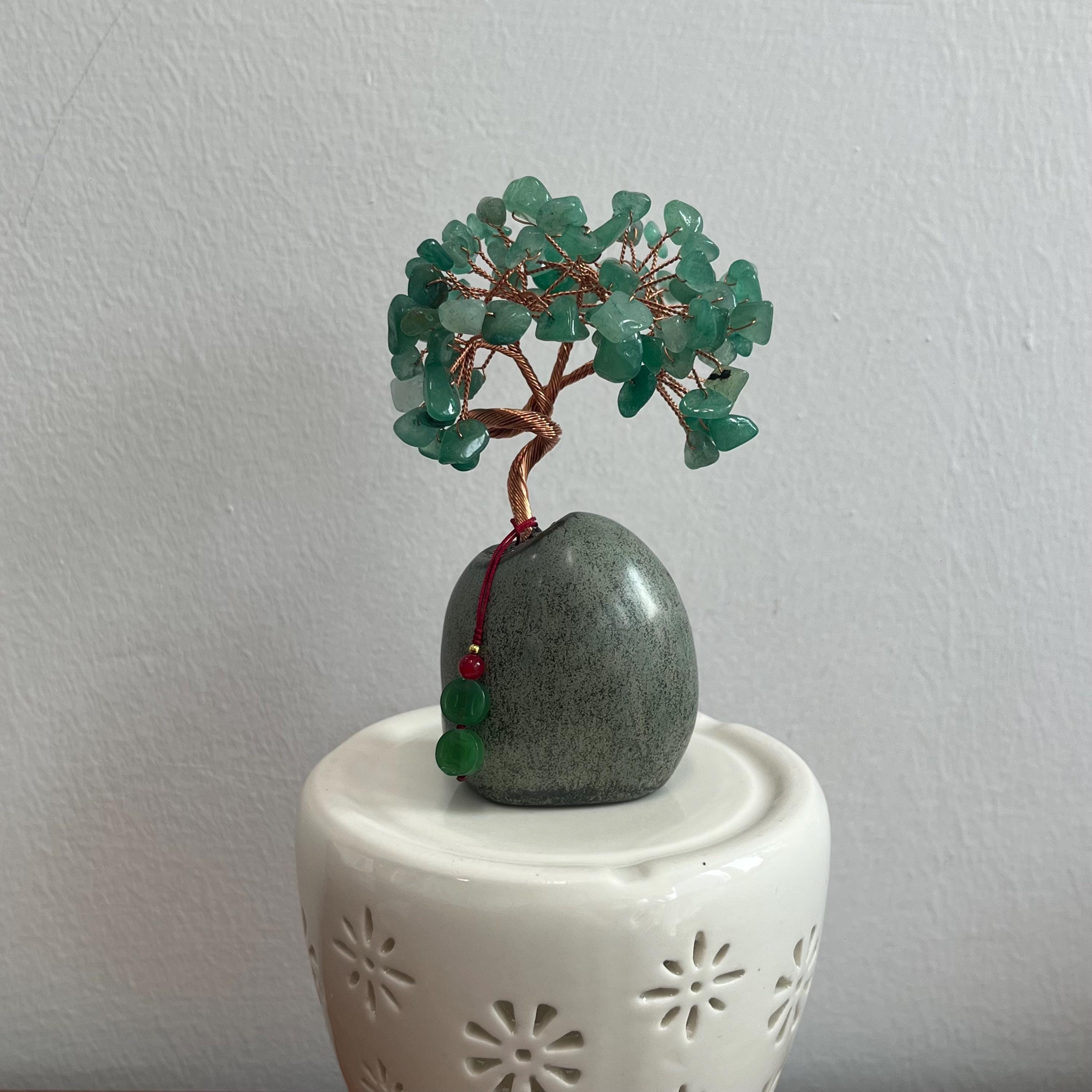 Geldbaum bonsai - Etsy.de