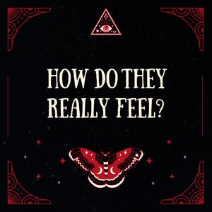 How Do They Really Feel | Love Tarot Reading | Their Thoughts | Their intentions | Love Feelings | Love reading | Romance | Relationship