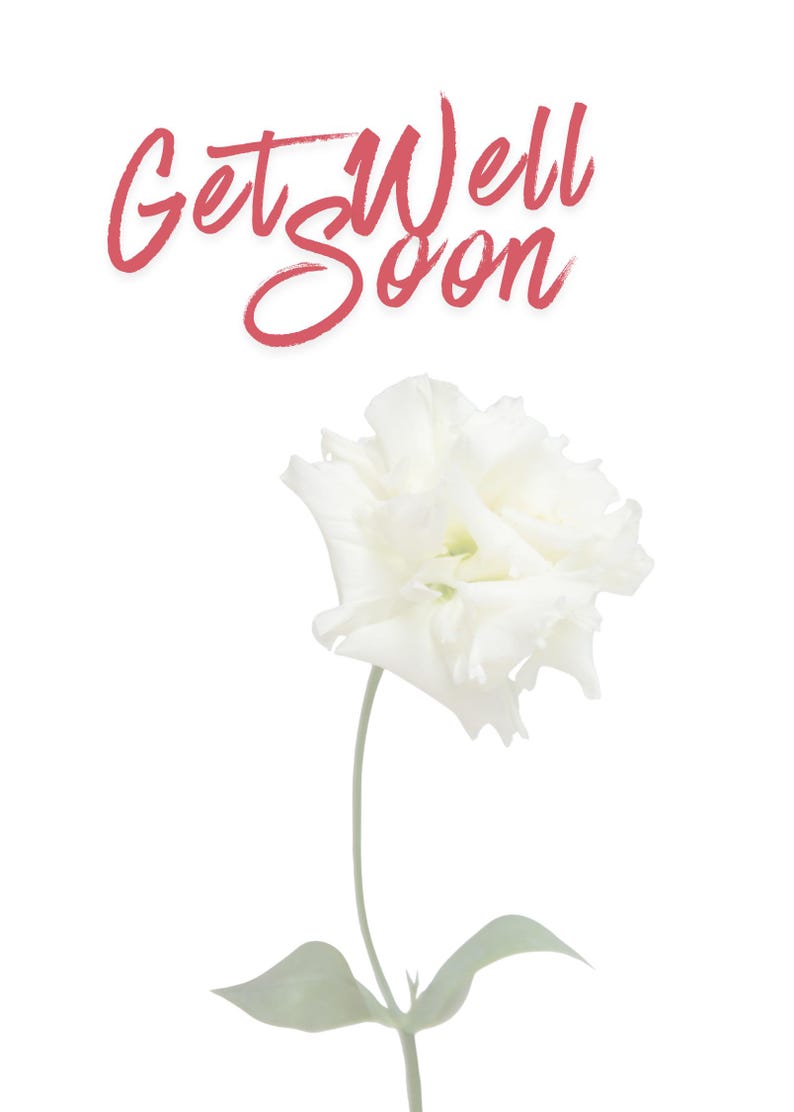 Floral Get Well Card | Elegant Thinking of You Greeting - Etsy