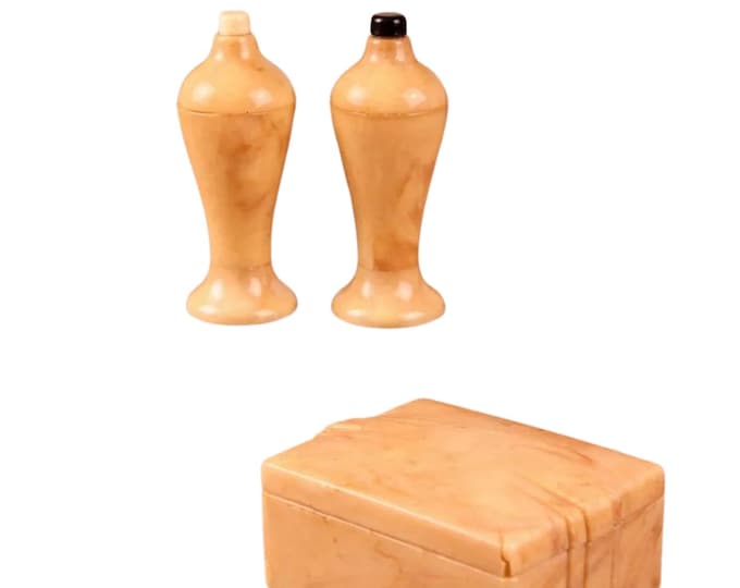 Vintage Carvanite Plastic Press Button Salt and Pepper Shaker in Case Yellow Marble Pattern