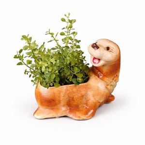 May include: A ceramic planter shaped like a smiling otter, with a brown and tan finish. The otter's mouth is open, revealing a red interior. The planter is filled with green leafy plants, creating a whimsical and decorative piece for home decor.