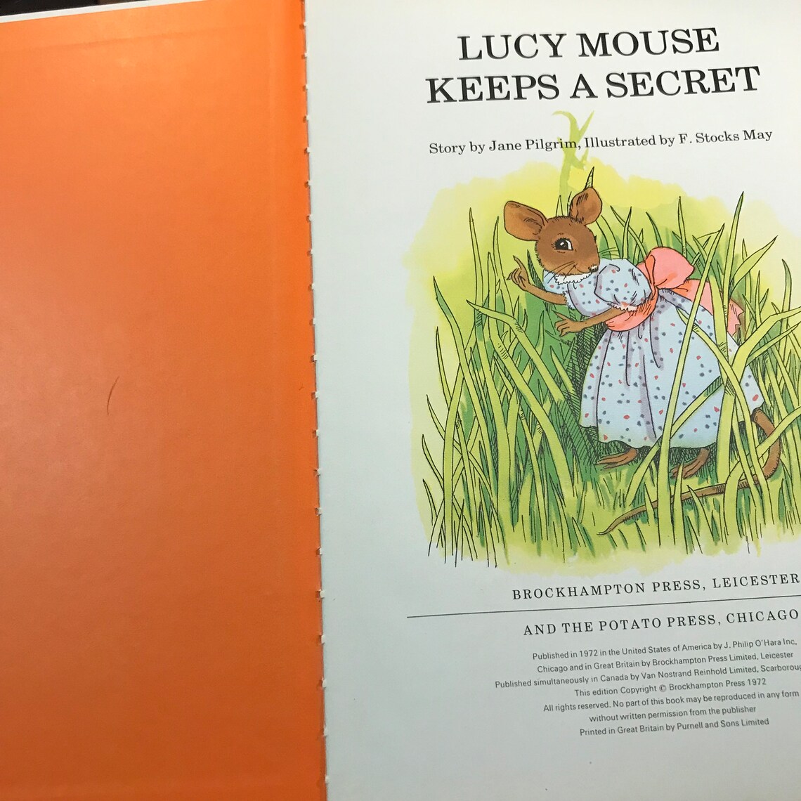 Collectible Classic: 1972 Lucy Mouse Keeps a Secret by Jane Pilgrim - Rare First Edition, photo 4 of 5