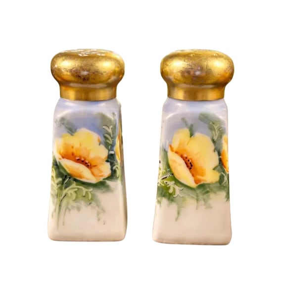 Poppy Salt and Pepper Shakers Satin Finish Porcelain Vintage Hand-Painted Floral