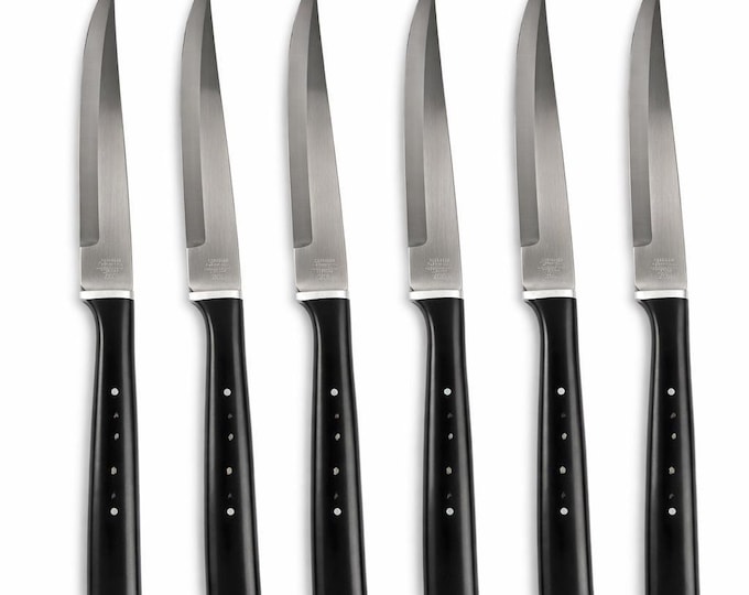 VTG Stellar Abalone Knife Set of 6 - Stainless Steel Japan In Original Box Unused