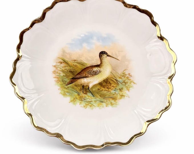 Antique Bavarian Porcelain Decorative Plate with Woodcock/Sandpiper Bird in Marsh/Woodland - Germany