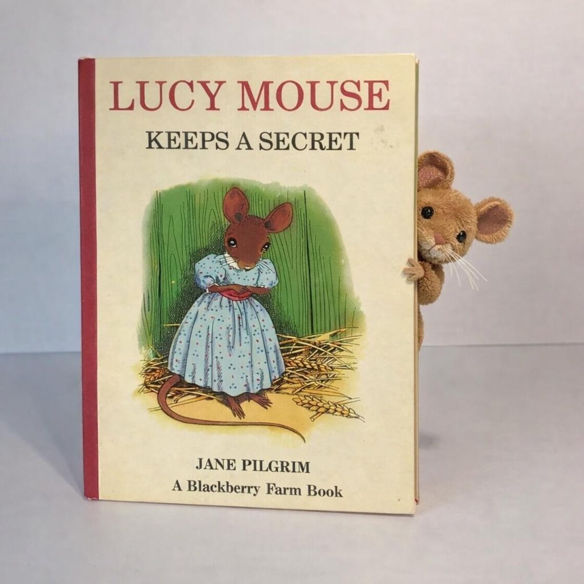 Collectible Classic: 1972 Lucy Mouse Keeps a Secret by Jane Pilgrim - Rare First Edition, photo 2 of 5