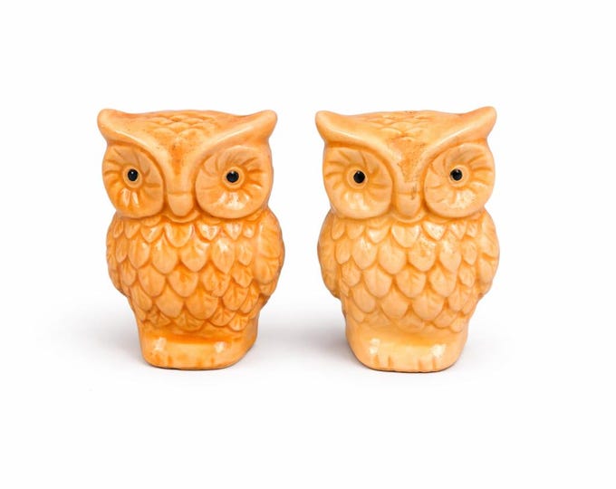 Vintage Beige Ceramic Owl Salt and Pepper Shakers – Cottage Core Kitchen Decor