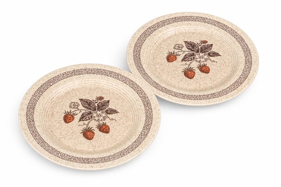 Vintage Homer Laughlin Dinner Plates (Set of 2) – Strawberry Oatmeal Stoneware – Mid-Century Country