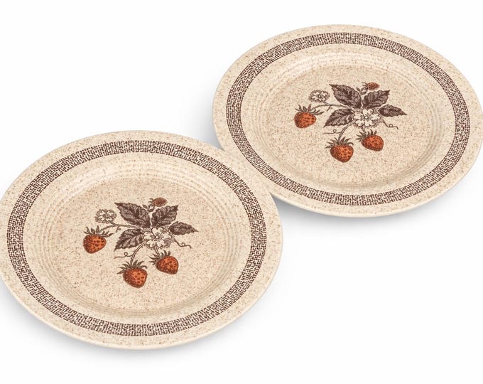 Vintage Homer Laughlin Dinner Plates (Set of 2) – Strawberry Oatmeal Stoneware – Mid-Century Country