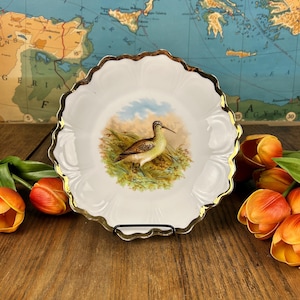 Antique Bavarian Porcelain Decorative Plate with Woodcock/Sandpiper Bird in Marsh/Woodland - Germany