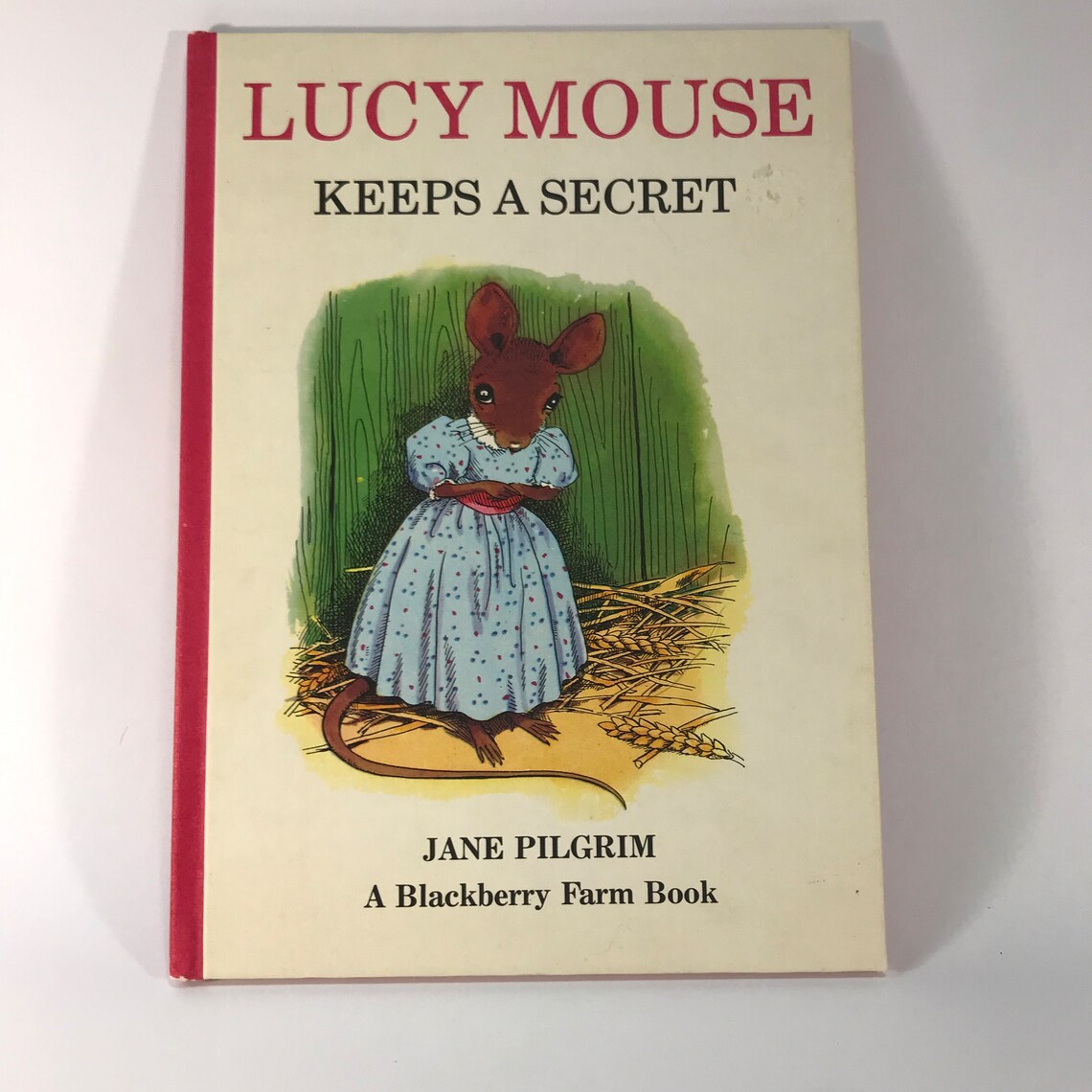 Collectible Classic: 1972 Lucy Mouse Keeps a Secret by Jane Pilgrim - Rare First Edition, photo 3 of 5