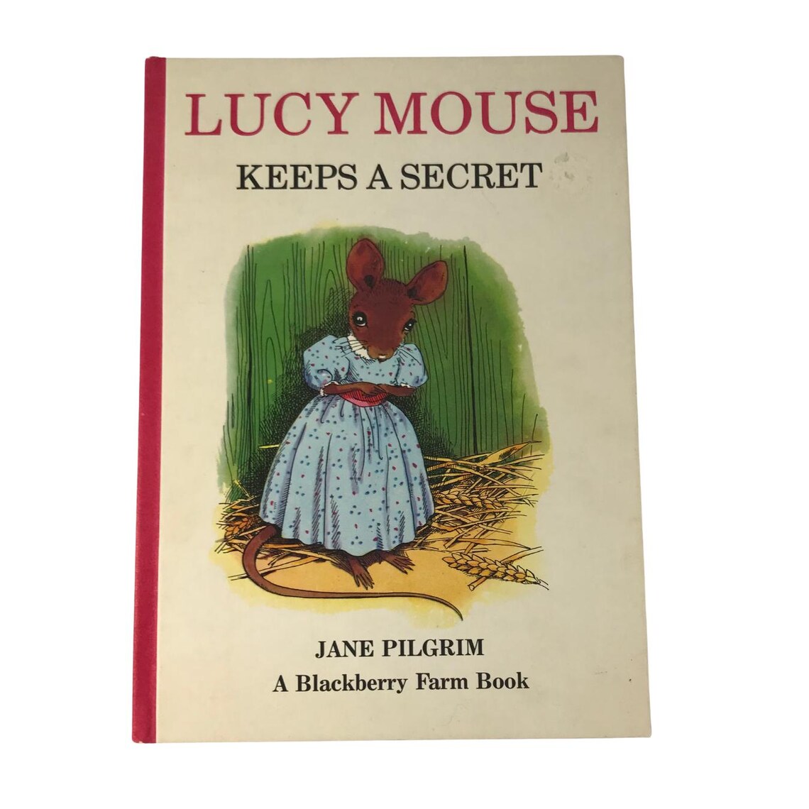 Collectible Classic: 1972 Lucy Mouse Keeps a Secret by Jane Pilgrim - Rare First Edition, photo 1 of 5