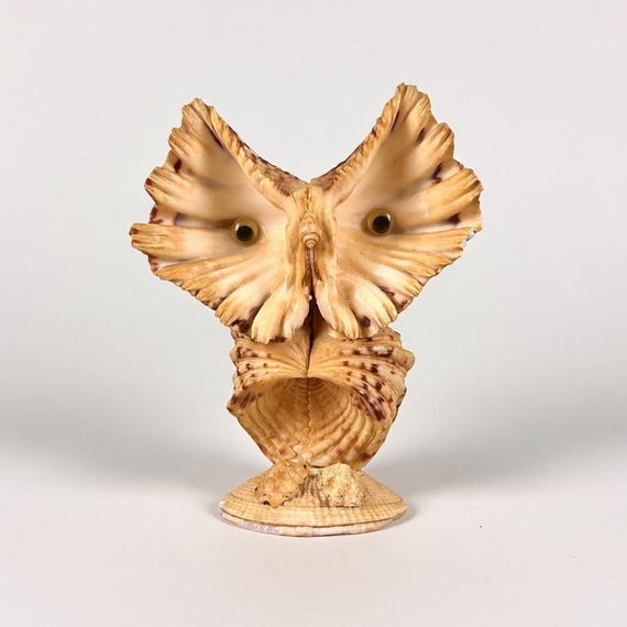 Vintage Seashell Owl Sculpture, Handmade Beach Decor