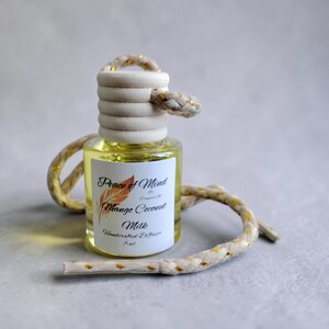 Diffusore per auto artigianale / Molte fragranze tra cui scegliere 8 ml / Acquista 1 e ricevi 1 in omaggio