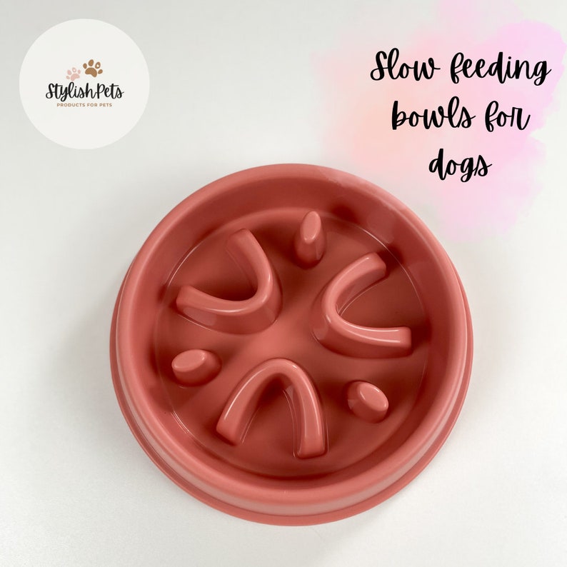 Slow feeder bowl for dogs Slow feed bowl for puppies Bowld for dog Modern bowls for dogs Pet slow feeder bowl zdjęcie 3