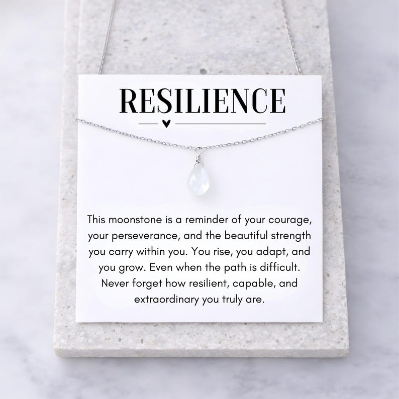 Resilience Moonstone Necklace, Your Rise You Adapt You Grow, Encouragement Jewelry Gift Silver