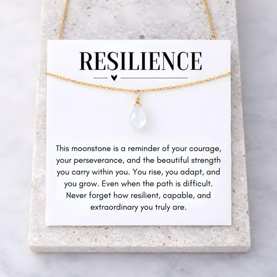 Resilience Moonstone Necklace, Your Rise You Adapt You Grow, Encouragement Jewelry Gift