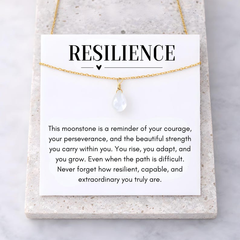 Resilience Moonstone Necklace, Your Rise You Adapt You Grow, Encouragement Jewelry Gift Gold