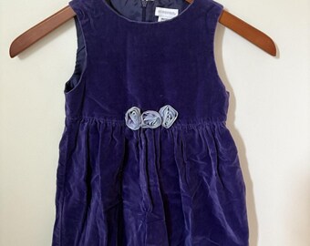 Gymboree Dress Girls Size M 3-4 Yrs Jumper Sleeveless Purple Velour Velvet Roses