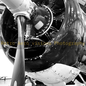 Grumman TBM Avenger #1