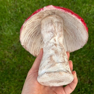 May include: A white ceramic mushroom with a red and white cap. The mushroom is painted with a textured finish.
