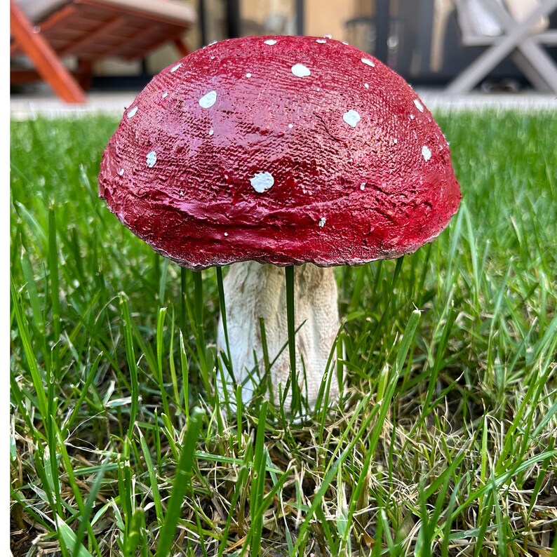May include: A red and white mushroom garden statue with white spots on the top. The mushroom is sitting in green grass.