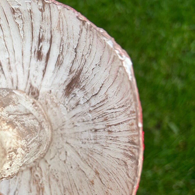 May include: Close-up of the underside of a white mushroom with a red rim. The mushroom has a textured surface and a slightly raised center.