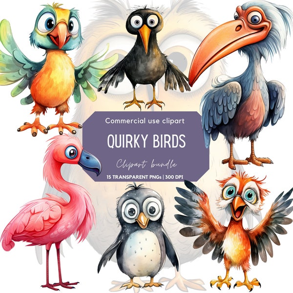 Quirky Birds Clipart | Funny Birds | Cute bird | Funny animals | Whimsical | Junk Journal Birds | Digital Paper Crafts | Silly birds