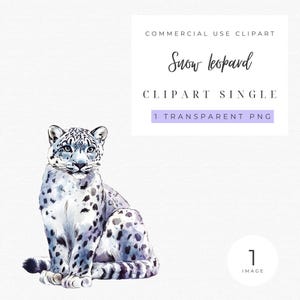Snow Leopard Clipart | Snow Leopard Png | Watercolor Leopard | Leopard Sublimation | Cute animal png | Leopard png | Cute animal sublimation