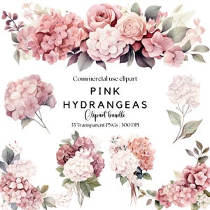 Hortensia rose poudré à l'aquarelle et clipart floral rose | Fleurs rose pâle | Fleurs d'hortensia | Fleurs de mariage | Faire-part de mariage