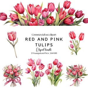 Red and Pink Tulip Clipart | Watercolor Flowers | Spring Floral Art | Pink Tulips for Weddings | Tulip Florals | Valentines flowers