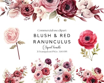 Blush & Red Ranunculus Clipart: Watercolor Floral PNG (Digital Download)