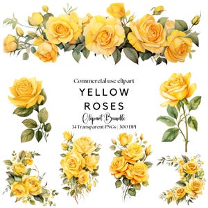 Clipart de rosas amarelas em aquarela | Rosa amarela png | Flor amarela png | Rosa em aquarela png | Convite de casamento | Flores amarelas