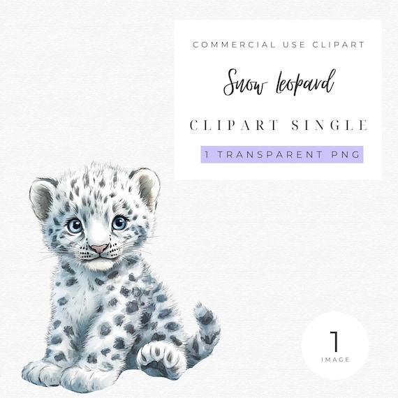 Clipart sneeuwluipaard baby Sneeuwluipaard png Aquarel