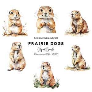 Prairie Dogs Clipart | Prairie Dog png | Cute animal | Wild animals | Groundhog | Marmot | Sublimation design | Watercolor animals