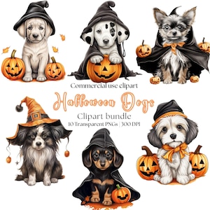 Clipart chien Halloween | Chiens d'Halloween PNG | Clipart chien mignon | Clipart citrouille | Halloween mignon png | Clipart chien effrayant