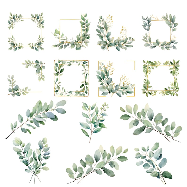 Watercolor Eucalyptus Clipart: Greenery Wedding Floral Frame (PNG) - Etsy