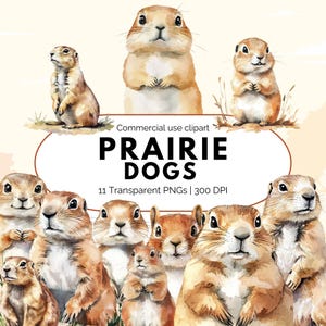 May include: A watercolour illustration of prairie dogs in various poses. The image features a collection of eleven transparent PNGs at 300 DPI. The text "PRAIRIE DOGS" is displayed, indicating the subject matter of the artwork.