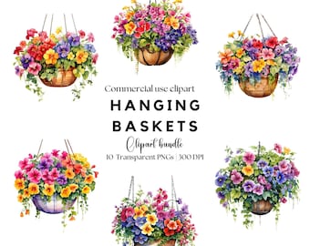 Hanging Flower Basket Clipart: Watercolor Potted Plants (PNG)