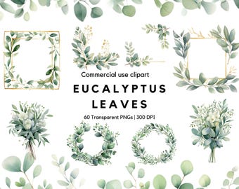 May include: A collection of watercolor eucalyptus leaves clipart featuring various arrangements including square frames, circular wreaths, and bouquets with gold accents. The text reads Commercial use clipart EUCALYPTUS LEAVES 60 Transparent PNGs 300 DPI.