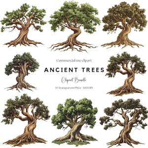 Ancient Tree Clipart: Roots, Tree of Life PNG (Digital Download)
