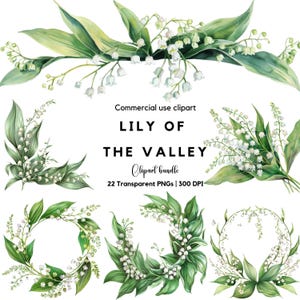Clipart floral de lirio de los valles en acuarela / Flores de acuarela / Flores blancas / Flores vintage / Flores de boda / Invitación de boda