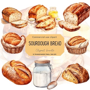 Watercolor Sourdough  bread Clipart | Sourdough Starter | Loaf of bread png | Bread Baker | Bakery | Sour dough clipart | Food clipart